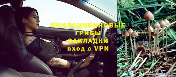 ALPHA-PVP Алексин