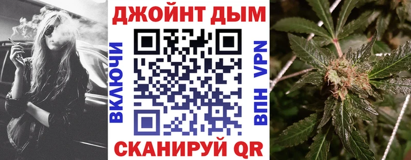 Конопля гибрид  Хвалынск 